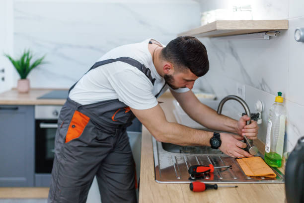 Best Local Plumber Services  in Coleraine, MN