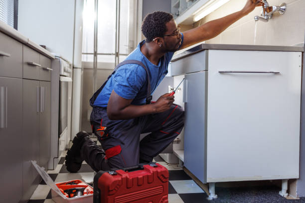 Best Septic Systems  in Coleraine, MN